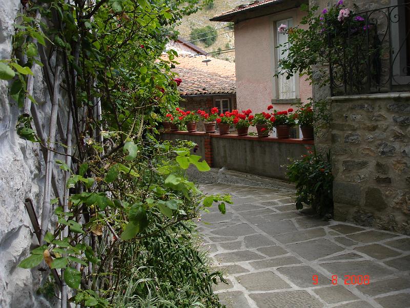 DSC01854.JPG