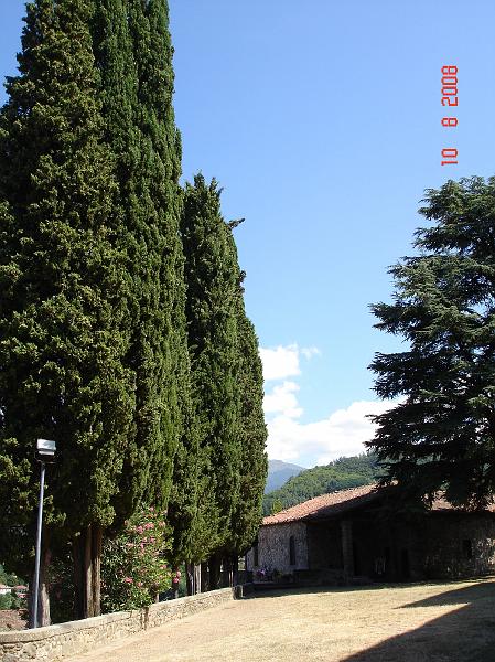 DSC01865.JPG