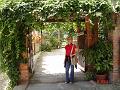DSC01849