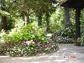 DSC01851