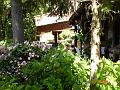 DSC01853