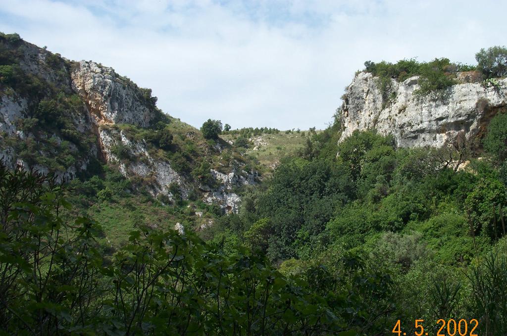 DCP_0222.JPG