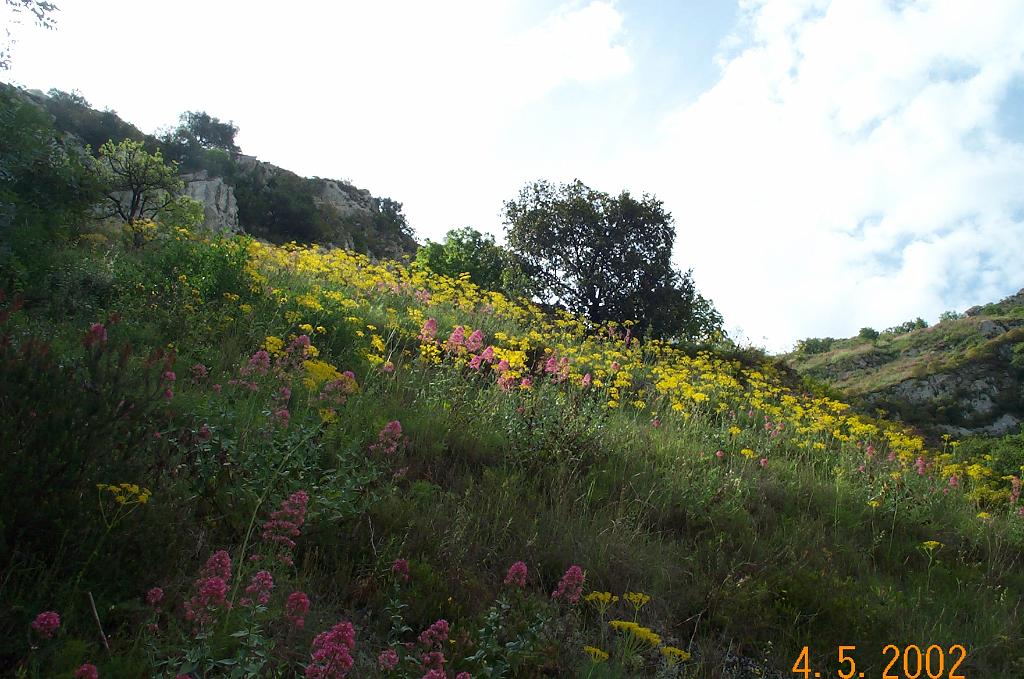 DCP_0224.JPG