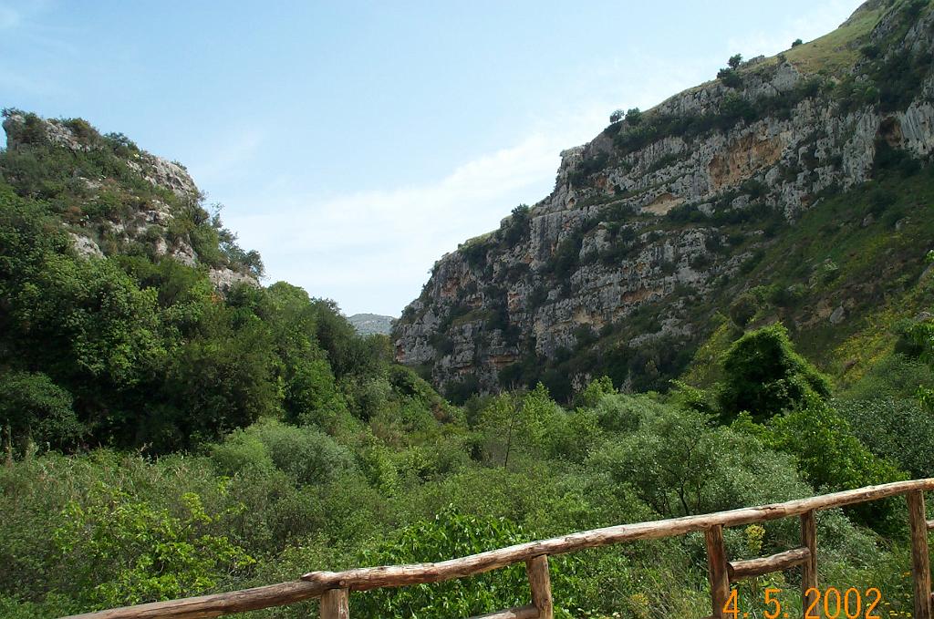 DCP_0226.JPG