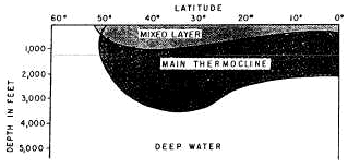 North-south distribution of a simple three-layered ocean (North Atlantic) in winter