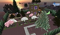 22dicembre2007_002